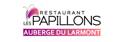 les-papillons (1)