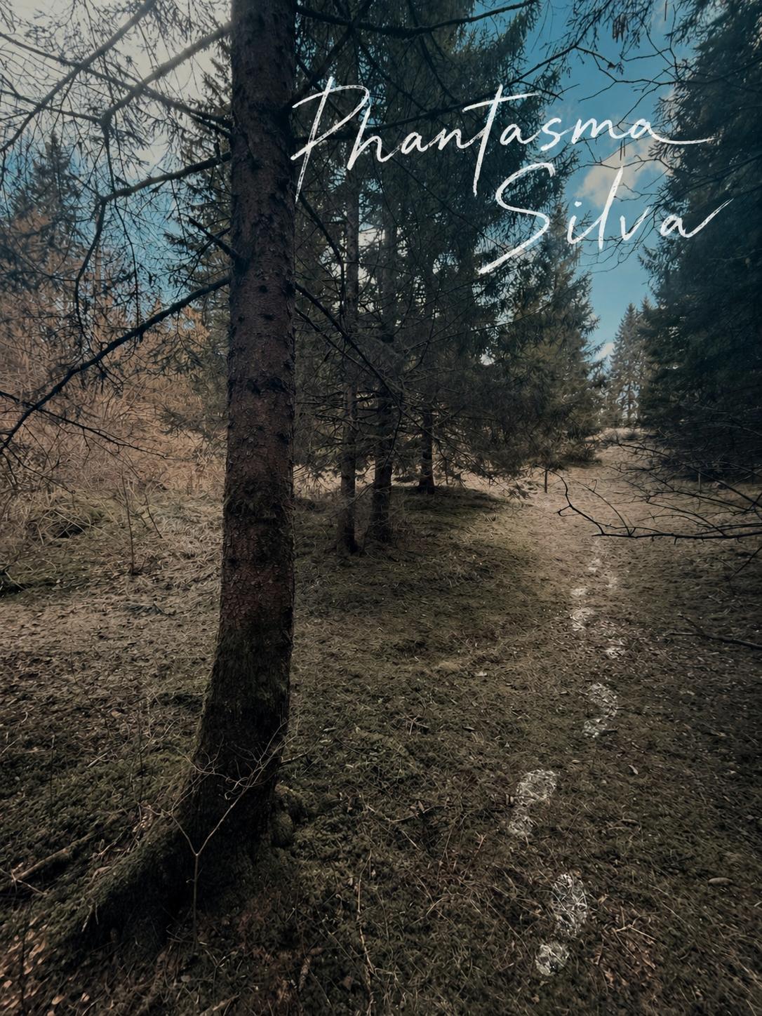 Rendez-vous en forêt